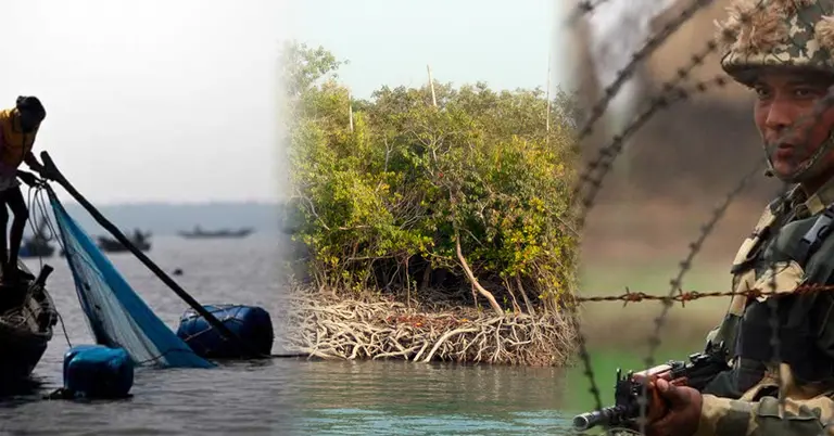 সুন্দরবনে বাংলাদেশের সীমানায় ঢুকে জেলেদের ওপর বিএসএফের হামলা